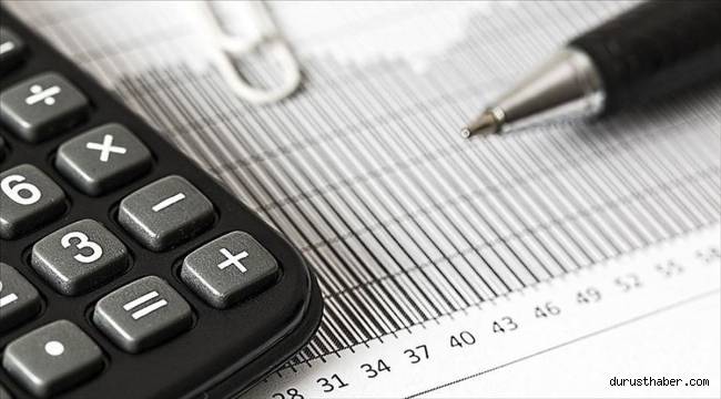 10 soruda 'gelire endeksli devlet iç borçlanma senedi'