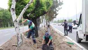 200 bin metrekare alana yağmurlama ve damla sulama sistemi kuruldu