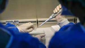 ABD'de maymun çiçeği virüsüne karşı daha çok kişi aşılanacak