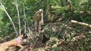 Amanoslar kırsalında PKK'lı teröristlerin kullandığı iki sığınak ve bir depo bulundu