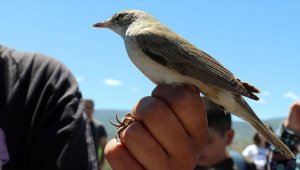 Aras Kuş Cenneti'nde 16 yılda 313 kuş türü kayıt altına alındı