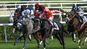 At yarışlarında 96. Gazi Koşusu yarın yapılacak