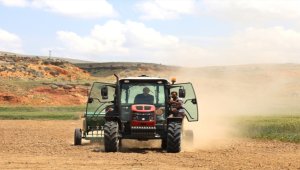 Avanos Belediyesi 110 dönüme yonca ekti