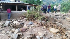 Aydın'da sağanak nedeniyle bazı evleri su bastı, iki otomobil sele kapıldı