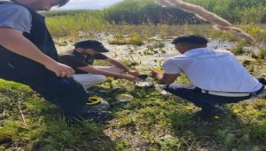 Beyşehir'den kısa kısa 