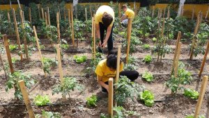 Çevre dostu okulda öğrenciler geri dönüşüm bilinciyle yetişiyor