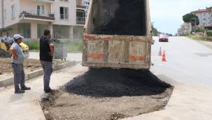 Çınarcık Belediyesi 