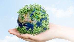 Dijitalleşen milyonlarca belge 140 bin ağacı korudu