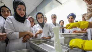Diyarbakırlı kadınlar İtalyanların dünyaca ünlü mozzarella peynirini üretecek