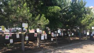 Doğa Dostu Çocuklar Kitap Okuyor