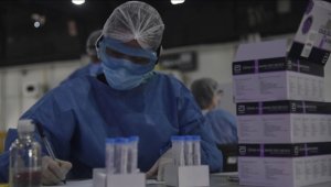 DSÖ, dünyada 550 maymun çiçeği vakası bulunduğunu açıkladı