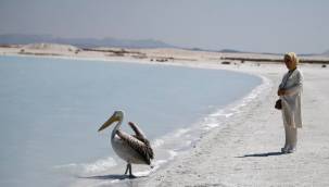 Emine Erdoğan'dan 'Dünya Çevre Günü' mesajı