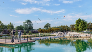 Gökdere yeşile bezeniyor