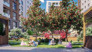 Gri Su Sistemi Olan İlk Proje