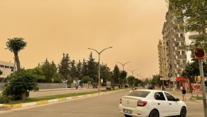 Güneydoğu'da toz taşınımı hayatı olumsuz etkiliyor