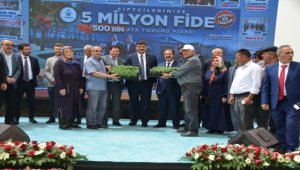 Kahramankazan'da çiftçilere ata tohumundan üretilen 500 bin fide dağıtıldı