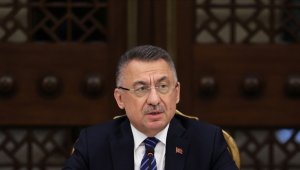 KKTC'de yangından etkilenen bölgelere 1 milyon fidan desteği 