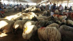 Kurban bayramı tatili 9 gün olacak mı? İşte detaylar...