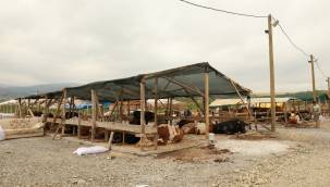 Kurban Pazarı Artık Kazimiye Köyünde 