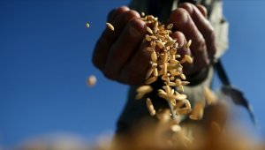 Küresel ekonomiye yönelik artan durgunluk endişesiyle emtia piyasasındaki satışlar derinleşti