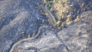 Marmaris'i ailevi sorunlardan dolayı ateşe vermiş 