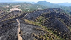 Marmaris'te yanan orman alanı havadan görüntülendi