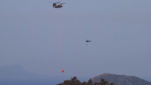 Marmaris'teki orman yangınının faili, polis ve jandarmanın detaylı çalışması sonucu yakalandı