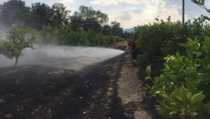 Muğla'da tarım arazisi ve otluk alanda çıkan yangınlar söndürüldü
