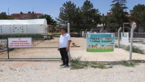 Öğrenciler sebze atölyesinde üretimi uygulamalı öğreniyor