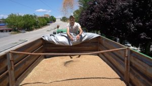 Polatlı'da hasat sezonunun ilk mahsulü buğday satıldı