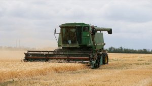 Putin: Gıda durumunun trajik hale gelmemesi için önlemler alınması gerekiyor