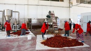 Salça ve pul biberde markalaşan kadınlar, sektörde söz sahibi olmayı hedefliyor