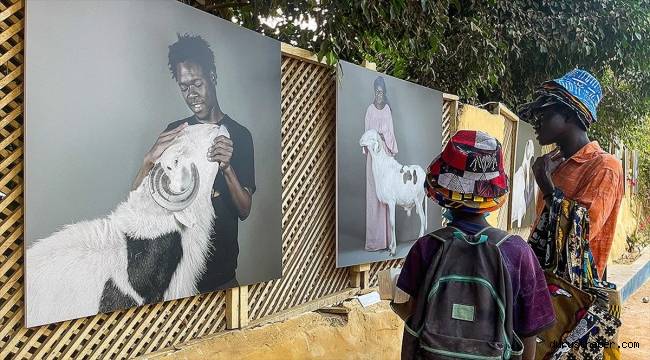 Senegal'de koyunların kralı "ladoum" temalı fotoğraf sergisi açıldı