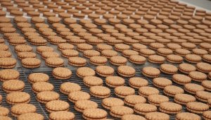 Türkiye'nin 500 büyük şirketinden 93'ü gıda sektöründen