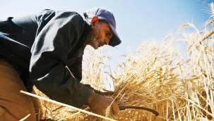 TZOB Başkanı'ndan çiftçilere uyarı: İşte son gün