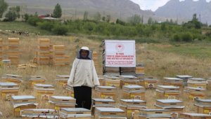 Vanlı kadın girişimci devletin hibe desteğiyle arıcı oldu
