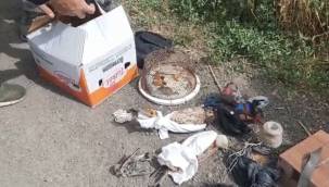 Yasa dışı şahin avı pahalıya mal oldu