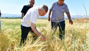 Yeşilyurt Belediyesi Tarımsal Üretim ve Ar-ge Sahasında arpa, buğday, kuru fasulye ve rulo çim üretimleri hız kazandı