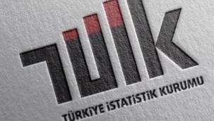 Yıllık Sanayi Ürün (PRODCOM) İstatistikleri, 2021