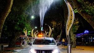 Ağaçlar haşerelere karşı ilaçlanıyor