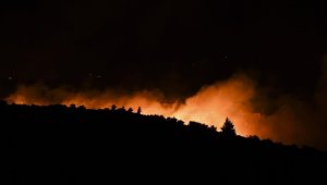 Atina yakınlarındaki orman yangınında çok sayıda ev zarar gördü