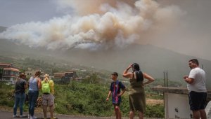 Avrupa'daki orman yangınları 15 yıllık ortalamanın yaklaşık dört katına çıktı
