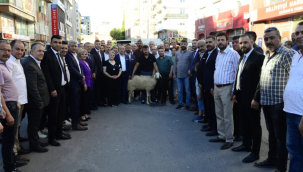 Baki Ersoy'a MHP'de muhteşem karşılama