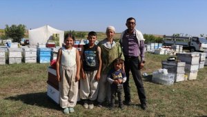 Balıkesirli gezgin arıcı ailesiyle en iyi balı üretmek için bölge bölge dolaşıyor