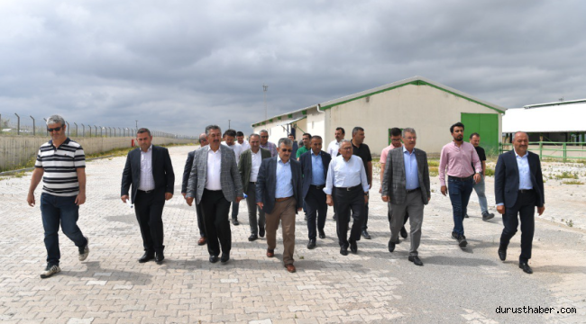 Başkan Büyükkılıç'tan Felahiye'de Hayvancılığa Yeni Hamle
