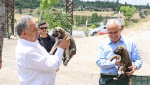 Başkan Yalçın,Patievi'nde minik dostlarla 
