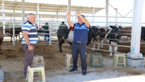  Beyşehir'den kısa kısa