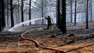Büyükşehir itfaiye ekiplerinden Burç Ormanı'nda çıkan yangına erken müdahele! 
