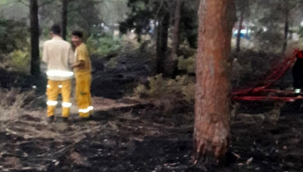 Datça'daki yangının sebebi sigara izmariti!