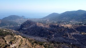 Datça'da yanan orman alanı havadan görüntülendi